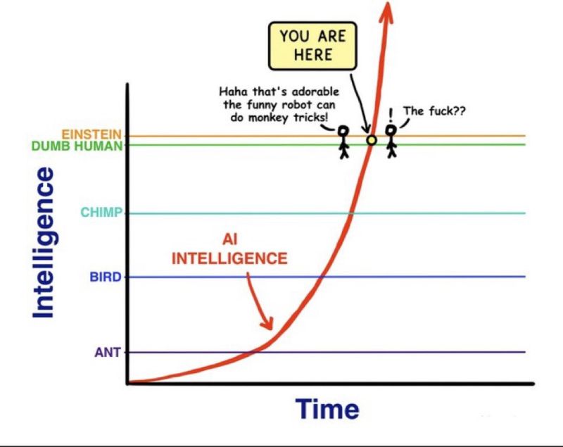 Intelligence-vs-time graph: Ant, Bird, Chimp, Dumb Human and Einstein bunched near the bottom while a red 'AI Intelligence' curve rockets past them, with a 'You are here' marker between two stick figures at human level.